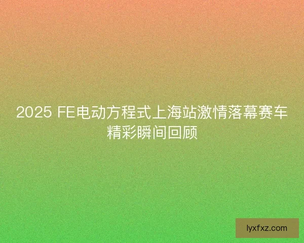 2025 FE电动方程式上海站激情落幕赛车精彩瞬间回顾